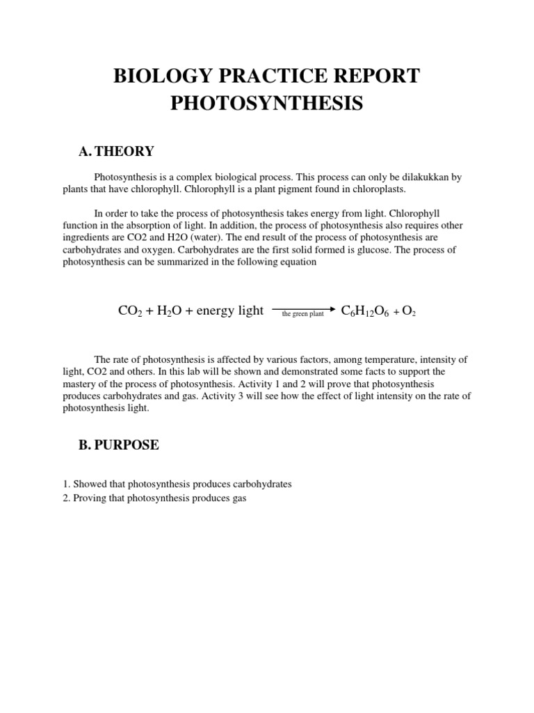 plant pigments and photosynthesis lab report