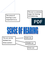Sense of Hearig