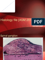 Hsitology File - ASM 2018