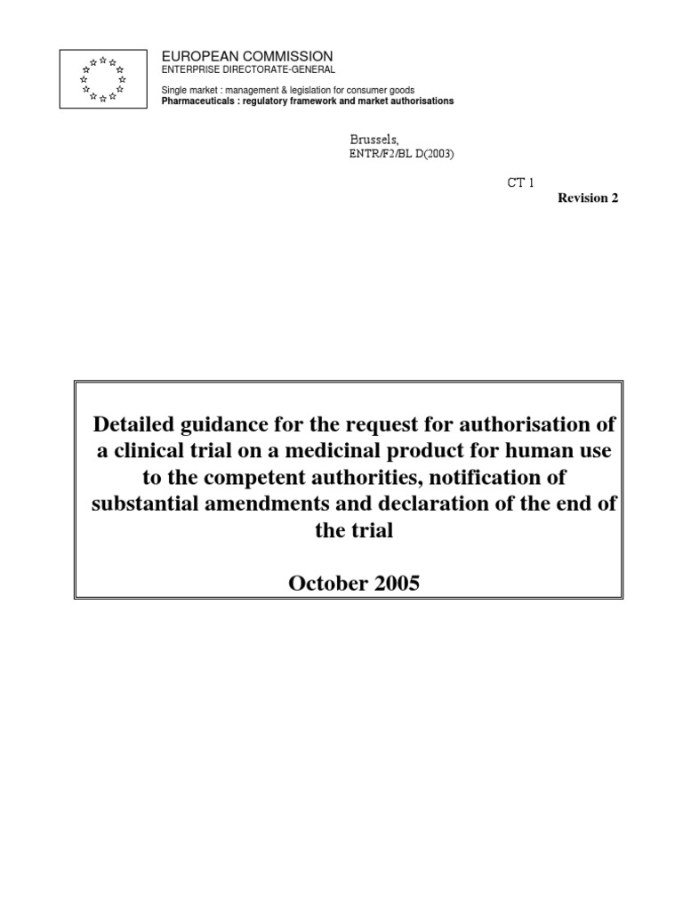 Detailed guidance essay 08 image