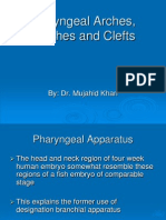 Pharyngeal Arches, Pouches and Clefts Development