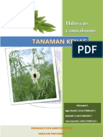 Download Tanaman Kenaf by Agus Rosidi SN118067274 doc pdf