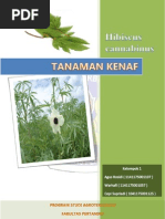 Download Tanaman Kenaf by Agus Rosidi SN118067274 doc pdf