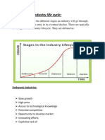 Industry Life Cycle