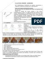 Alineación Con El Alma