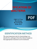 Identification of Bacteria