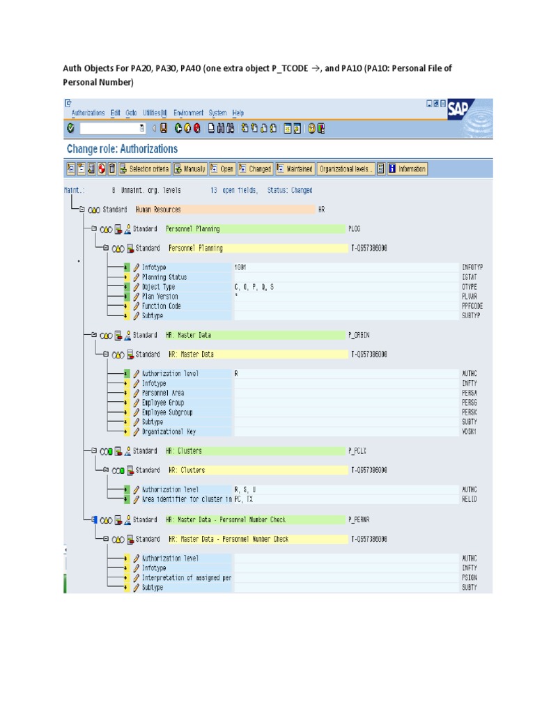 Auth Objects for SAP PA20, PA30, PA40 | PDF
