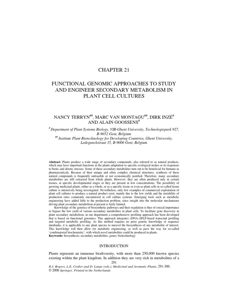 21 Terryn | PDF