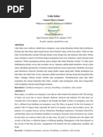 Download luka bakar by Winda Anastesya SN118117407 doc pdf