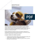 Calidad Veterinaria & Procesos: La Mejora Continua de La Calidad, Nos Permite