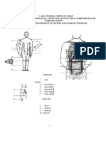 78245181 Manual Anatomie