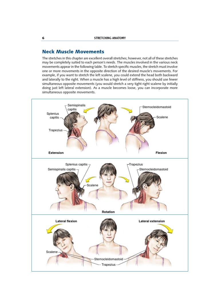 Neck Muscle Movements: Flexion Extension | PDF | Anatomical Terms Of ...