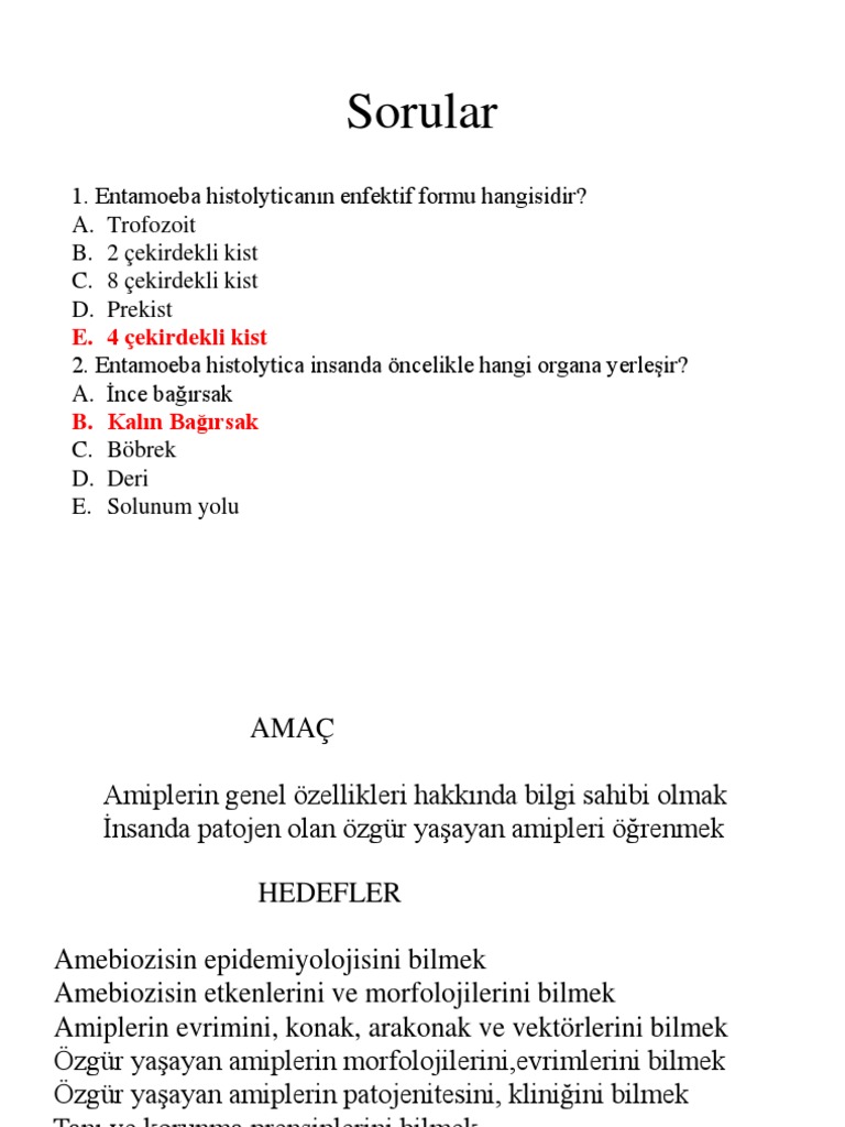 Amip | PDF