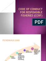 Code of Conduct For Responsible Fisheries (CCRF