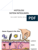 S. Integumentum-Kuliah (Dr.arif)