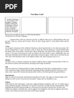 Download My research on shore crabs by Christian K Bagongon SN11821671 doc pdf