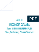 atlas de micologia