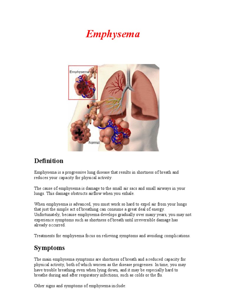 Emphysema Chronic Obstructive Pulmonary Disease Respiratory Tract