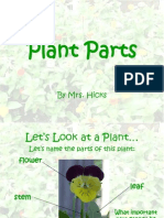 Plant Parts: by Mrs. Hicks