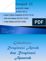 Glikolisis, Respirasi Aerob Dan Respirasi Anaerob