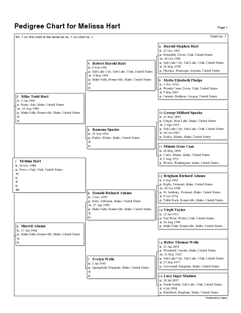 4 Generation Pedegree Chart | PDF