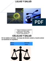 Celulas y Salud 2009