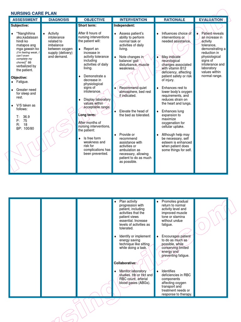 Nursing Care Plan