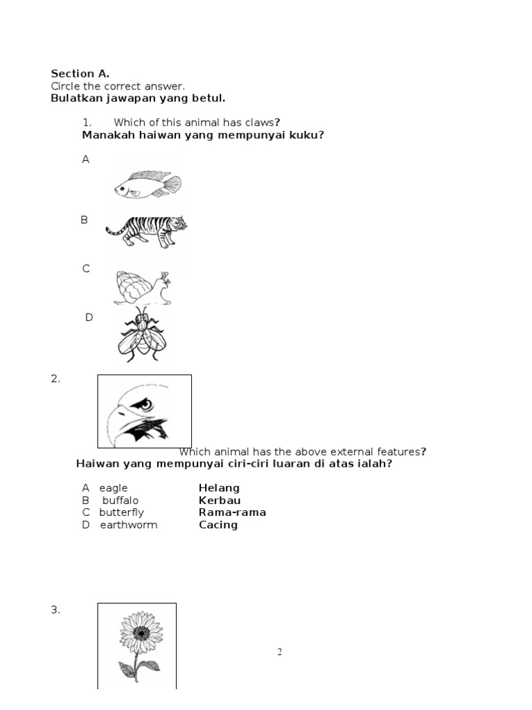 Soalan sains tahun 3 Soalan sains tahun 3