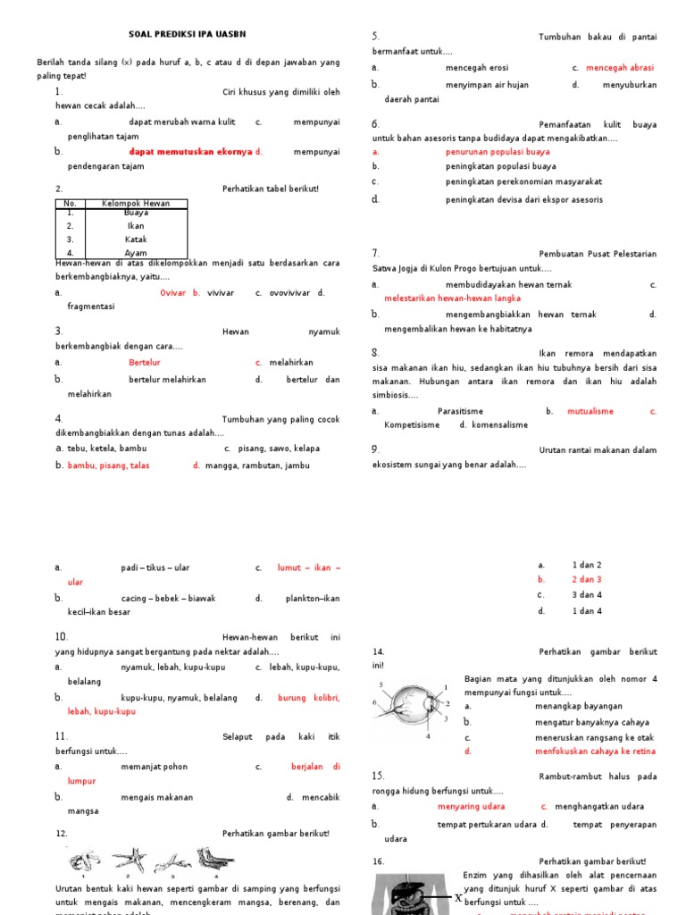 Soal Prediksi Uasbn Ipa Paket 1