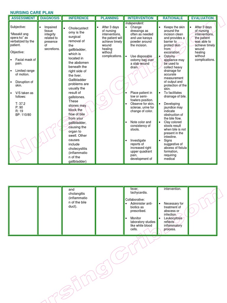 Nursing Care Plan for Cholecystectomy | PDF | Gallbladder | Digestive ...