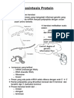 Biosintesis Protein