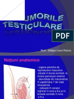 Tumori Testiculare