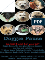 Doggie Pause: Second Home For Your Pets