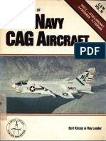 US Navy CAG Aircraft