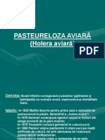 PASTEURELOZA_AVIARA