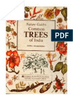 Natures Guide to Common trees of Inida