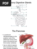 Download Accessory Digestive Glands by Aileen Grace Delima  SN1184240 doc pdf
