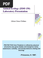 Download Animal Ecology ZOO 150 Laboratory Oral Presentation by Aileen Grace Delima  SN1184250 doc pdf