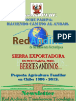 Newsletter nº2 Red Andina de Transferencia Tecnológica