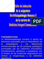 Taller de Inducción Morfofisiopatología Humana II