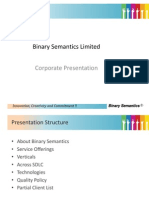 Binary Semantics Limited Corporate Overview