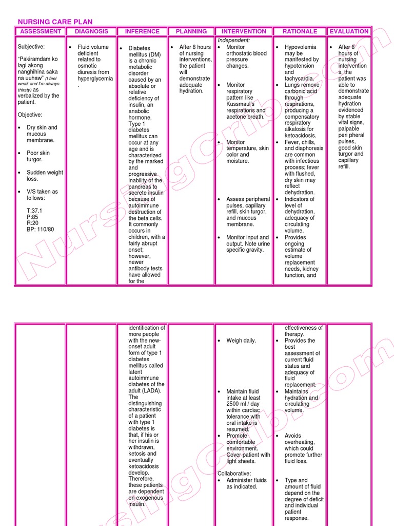 Nursing Care Plan Diabetes Mellitus Type 1 | PDF | Diabetes | Endocrine