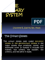 THE Urinary System: Charlotte R. Espiritu RN. MAN