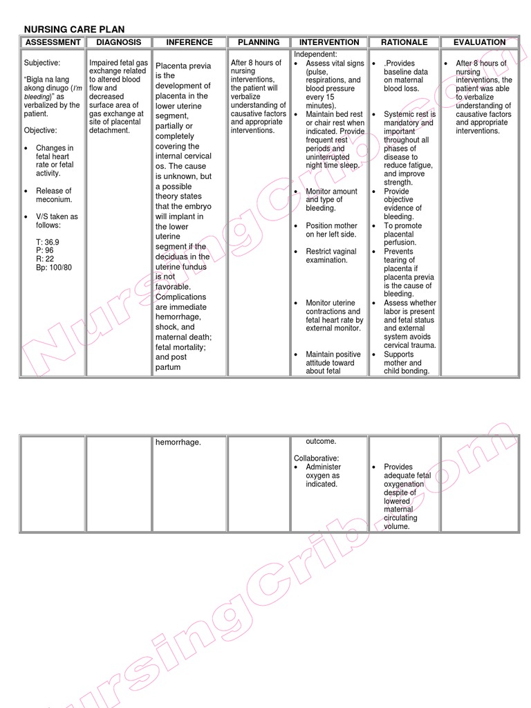 Nursing Care Plan Placenta Previa