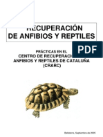 anfibios y repetiles