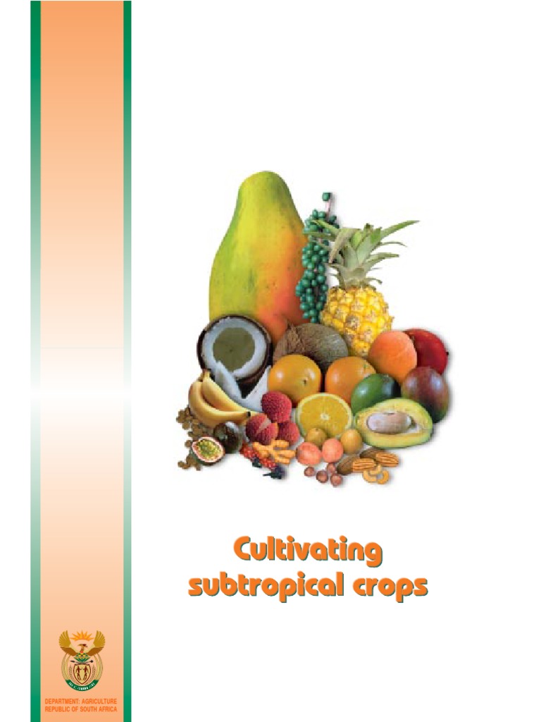 Best Manure For Fruit Trees : What is the Best Fertilizer for Banana Trees? - Garden Tabs - Maybe you would like to learn more about one of these?