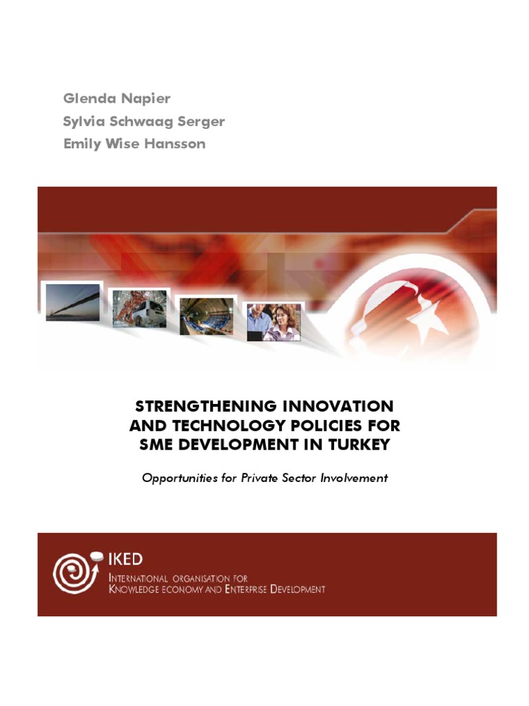 SMS Development in Turkey | PDF | Competitiveness | Innovation