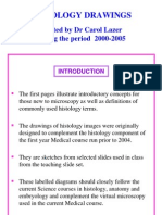 Histology Drawings PDF