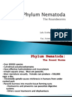 Phylum Nematoda SPP