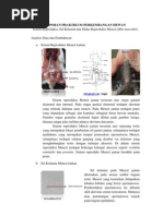 Download 4 Sistem Reproduksi Sel Kelamin Dan Siklus Reproduksi Mencit by Ratna Dwi Ramadani SN118554003 doc pdf